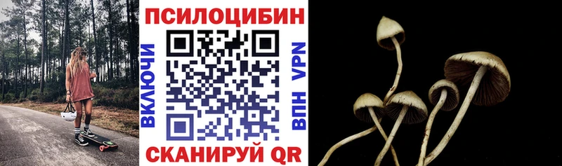 Псилоцибиновые грибы прущие грибы  Краснокамск 